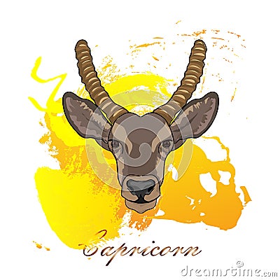 Capricorn zodiac sign is drawn in a watercolor style in illustrator. Vector Illustration